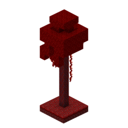 Грибок изотерический скрин.png